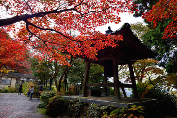 長安寺の紅葉