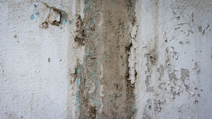 white peeling paint on the old rough concrete surface. mold on wall