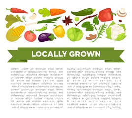 Organic vegetables food poster background template for dietary vegetarian eating or vegan diet.