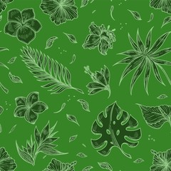 Tropical palm leaf seamless pattern sketch background.