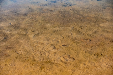 The sandy bottom of the reservoir through the crystal clear water