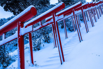 雪の鳥居