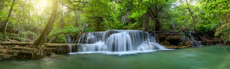 Fotobehang Waterval Panoramische prachtige diepe boswaterval  © yotrakbutda
