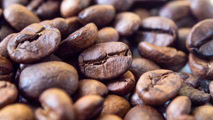  Coffee beans placed on a white background. As a background image