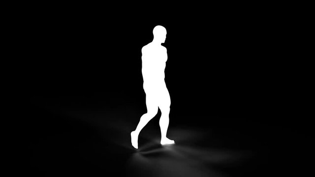 Human body muscle map Walk Cycle adult for your projects related to health, medicine, therapy, surgery, psychology, life, energy, etc Included rendered loopable clips 4K QT MOV PNG + Alpha channel 