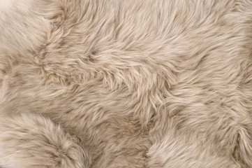 Sheep fur Natural sheepskin background Wool texture