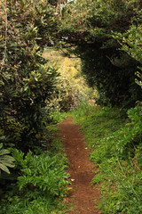 Beautiful Scenery of Jeju Island / Scenery Picture of Jeju Island, Korea