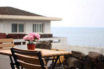 Beautiful Scenery of Jeju Island / Scenery Picture of Jeju Island, Korea