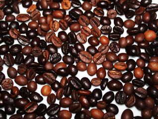 Fresh coffee seeds background.