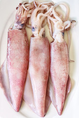 Close up  Fresh squid on white background, Seafood concept.