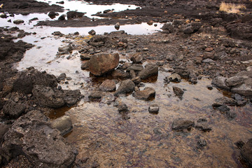 Beautiful Scenery of Jeju Island / Scenery Picture of Jeju Island, Korea
