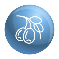 Olive branch icon. Outline olive branch vector icon for web design isolated on white background