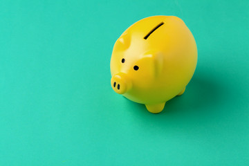 piggy bank on color background