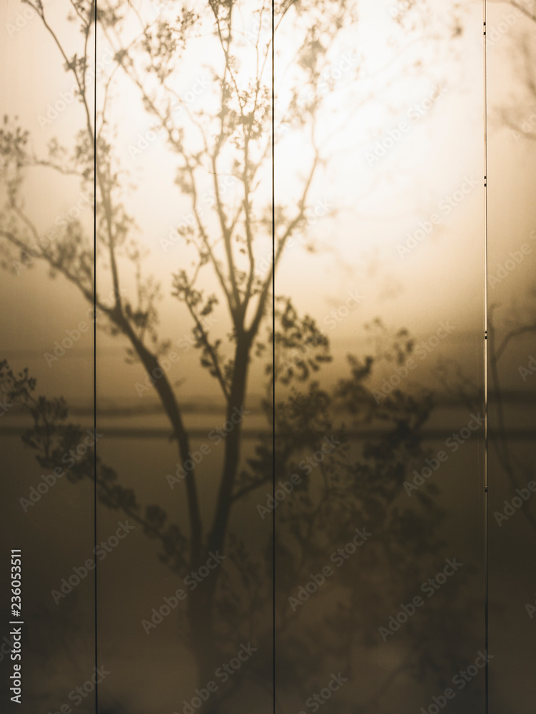 Poster tree leaves shadow on wall nature abstract background