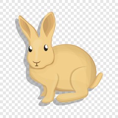 Wild rabbit icon. Cartoon of wild rabbit vector icon for web design  