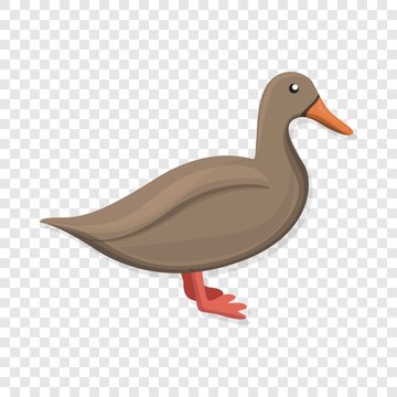 Brown duck icon. Cartoon of brown duck vector icon for web design  