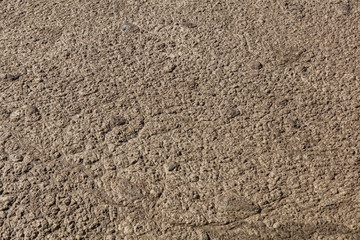 brown mud