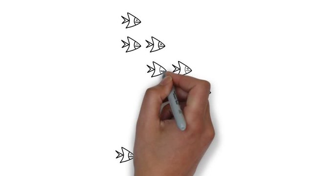 Animation schools of fish