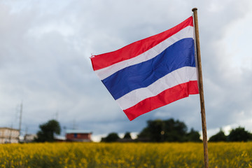 The Thai flag on the yellow garden.