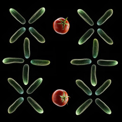 Ripe tomato and cucumbers on black background. Isolated flat lay photo.