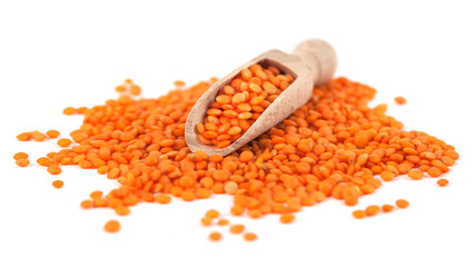 Red lentils in the wooden spoon, isolated on white background