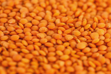 red lentils forming a background pattern, healthy food