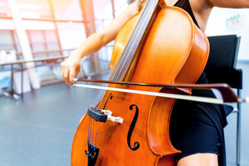 Close up of cello with bow in hands © Sergey Nivens
