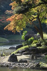 日本庭園の紅葉