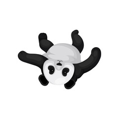 Lovely panda lying on his back. Funny bamboo bear with black and white fur. Flat vector design