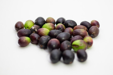 Close up on a white background