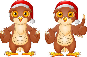 Two cute owls in winter clothes