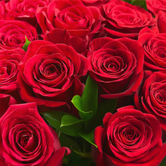 Colorful flower bouquet from red roses.