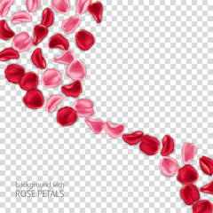 Red and pink rose petals on transparent background. Design element for Valentines Day card or invitation