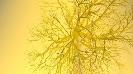 Lonely tree without leaves in fog or mist lit by bright orange sun god rays . 3d illustration. Travel and camping concept. Top view from sky