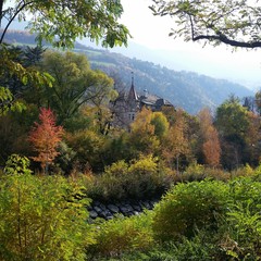 I colori dell'autunno