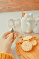 Merry Christmas concept