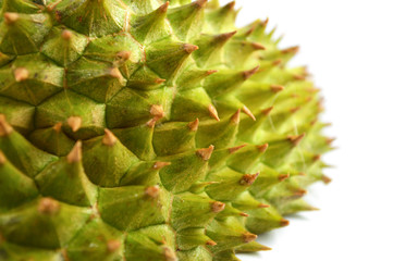 shell thorn durian isolated / tropical fruit durian spiky peel