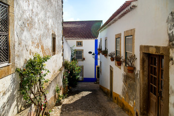 Fototapeta premium Cozy narrow streets of old town Obidos, Portugal
