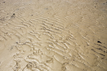 Sand with ripples on a beach in Queensland, Australia