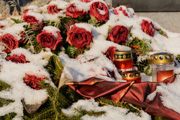 Red roses at the grave - mourning