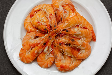 shrimps on a plate
