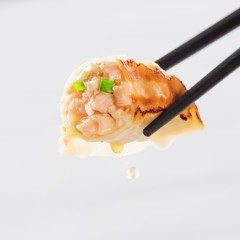 Japanese Fried dumpling