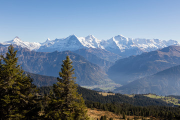 Autumn alpine landscape on the Niederhorn in the Bernese Oberland in Switzerland with Eiger, Moench...