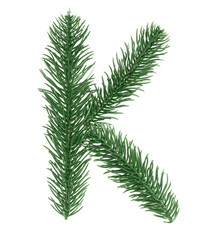 Letter K, English alphabet, collected from Christmas tree branches, green fir. Isolated on white background. Concept: ABC, design, logo, title, text, word