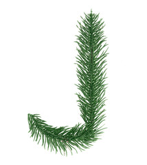 Letter J, English alphabet, collected from Christmas tree branches, green fir. Isolated on white...