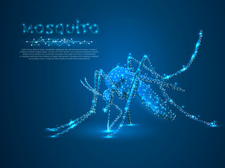 Mosquito that sucks blood, Polygonal space low poly with connecting dots and lines. Malaria concept. Connection wireframe structure. Vector on dark blue background