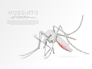 Origami Mosquito that sucks blood, Polygonal space low poly with connecting dots and lines. Malaria concept. Connection wireframe structure. Vector on white background