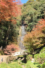 清水の滝と紅葉　佐賀県小城市　日本