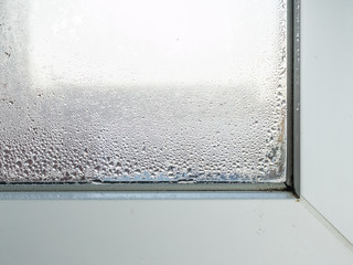 Kondenswasser am Fenster