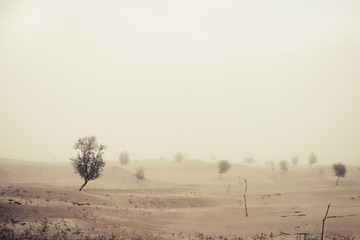 Windy before sandstorm in the Katpana Desert. Skardu, Gilgit Baltistan, Pakistan.